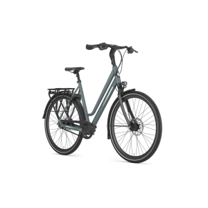 Gazelle Chamonix S8 lage instap