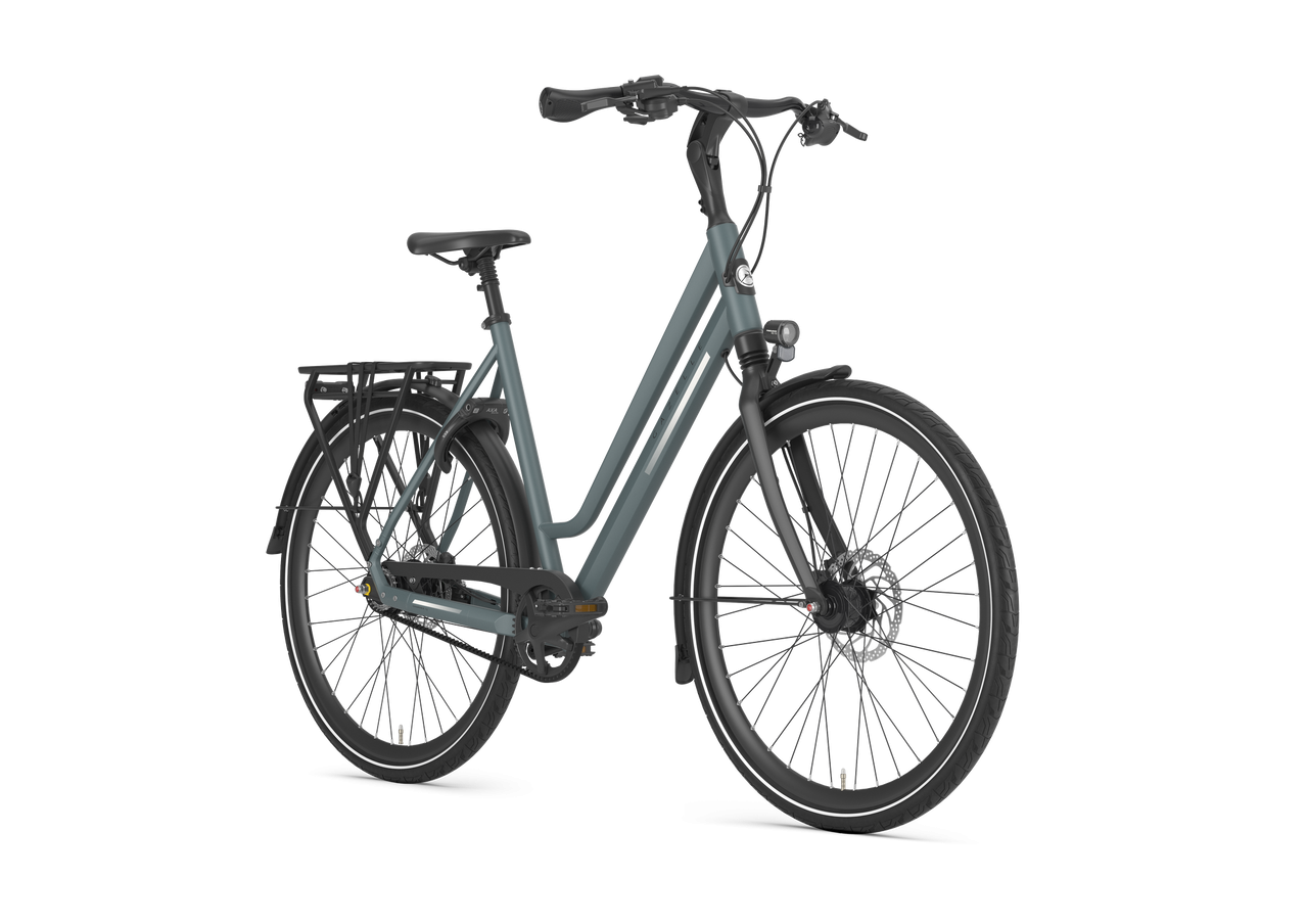 Gazelle Chamonix S8 lage instap