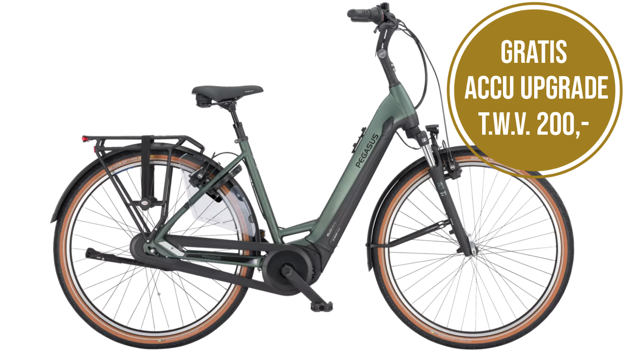 Pegasus Ravenna EVO 7 lage instap