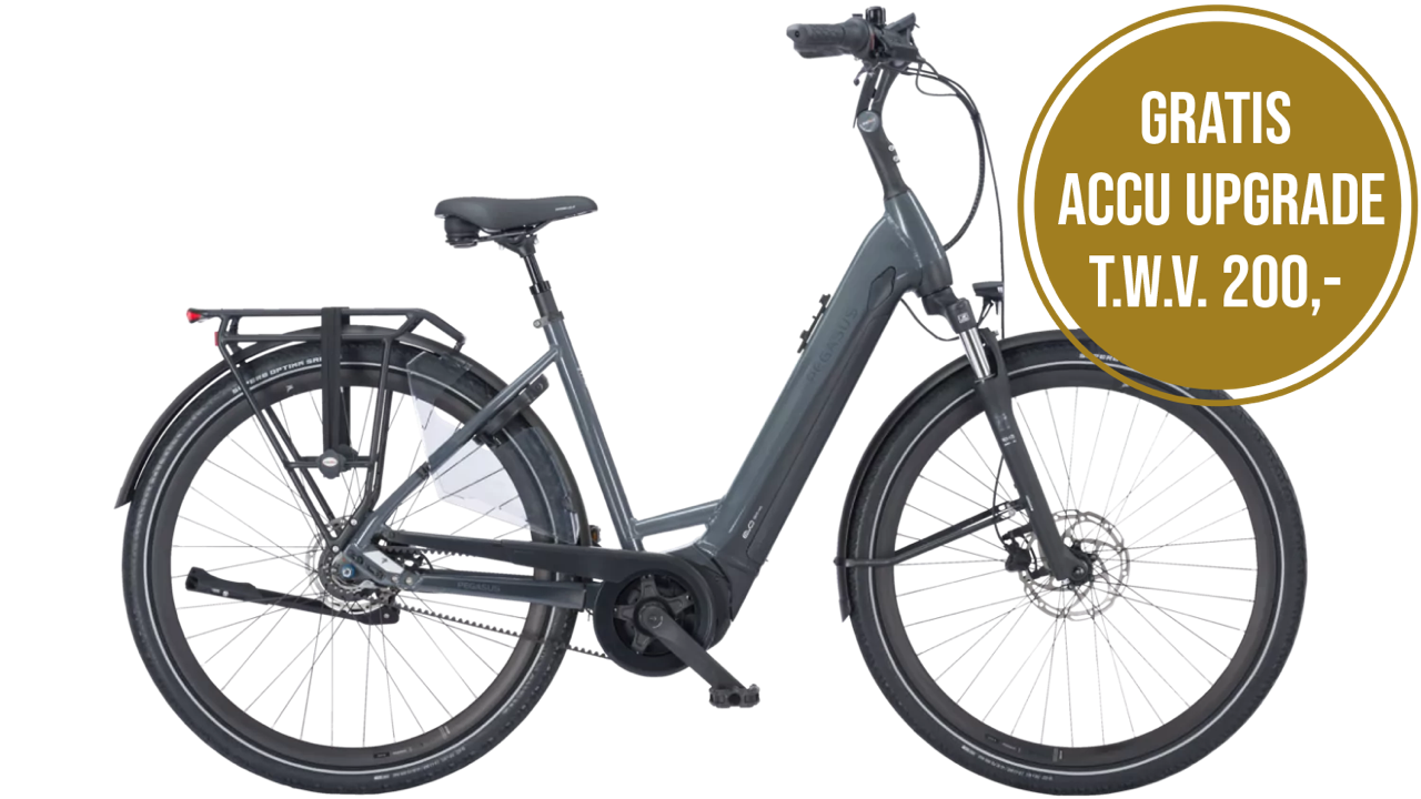 Pegasus Ravenna EVO 8F Belt Lage Instap - Afbeelding 2