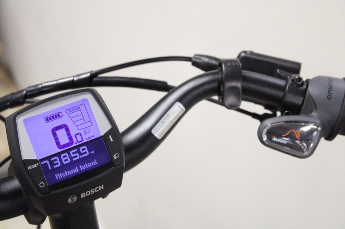 Levit Arian - Afbeelding 5